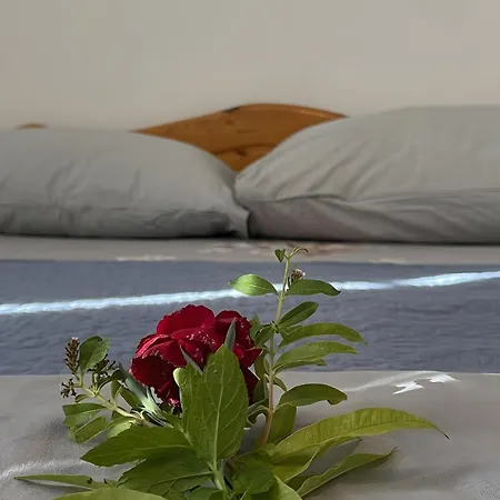 Hébergement de vacances Hippocrates' House Amorgos